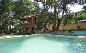 Cabañas Zoh Laguna Calakmul
